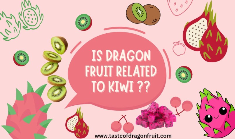 Are dragon fruit and kiwi from the same family?