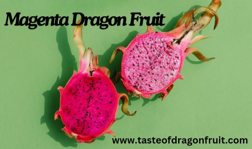 Benefits of Betalains in Magenta Dragon Fruit