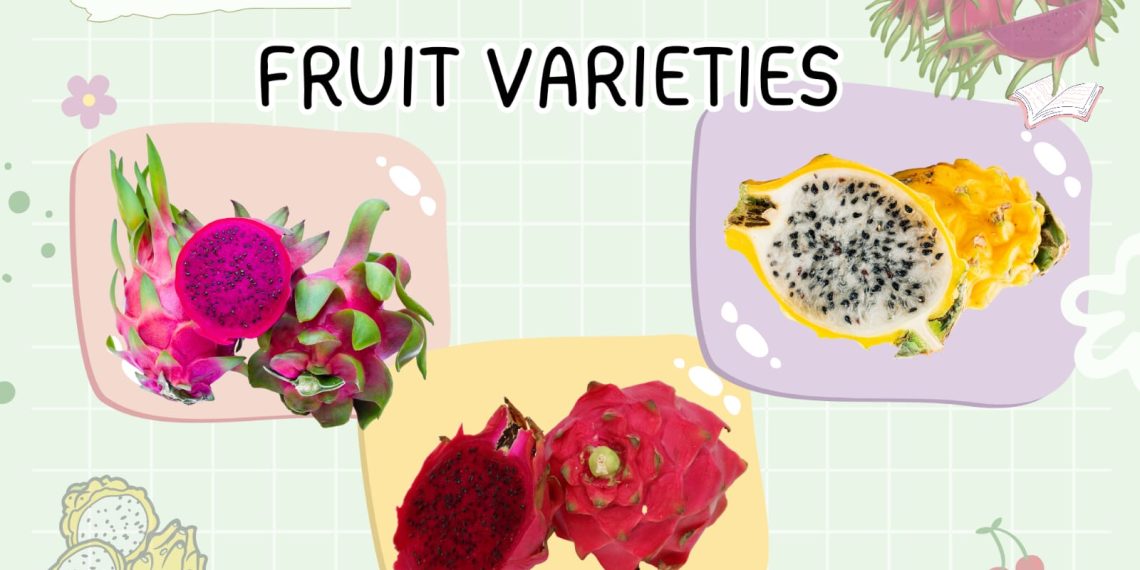Dragon Fruits Varieties Rare