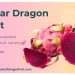 The Sweet Delight of Sugar Dragon Fruit