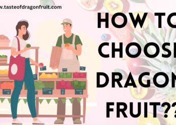 How To Choose Dragon Fruit Wisely!
