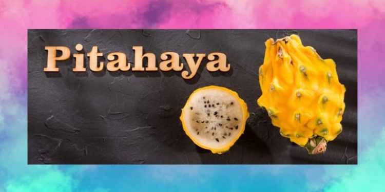 How to Grow Yellow Dragon Fruit